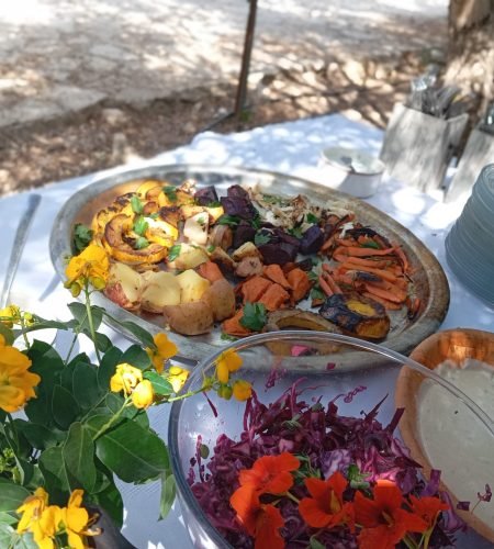 00bfb238-420f-4c30-8c1a-4572076176a6