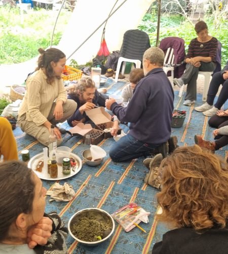 89477660-ea30-461c-afce-90ecc7b1acc2