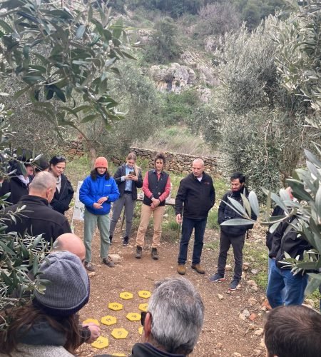 a4dbfc44-9fde-4906-bf94-8b4f3ee643fa