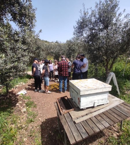 a95de30d-d70d-4865-a265-45c63dac970b