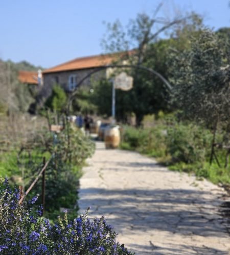 כניסה יפה אלון