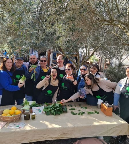 תמונה של WhatsApp‏ 2024-12-30 בשעה 09.55.44_219e77cb