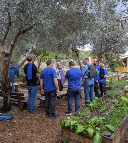 תמונה של WhatsApp‏ 2025-11-25 בשעה 15.17.12_5c9e77d9